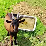 Farma U Lesa Ubytování v soukromí Hlinsko