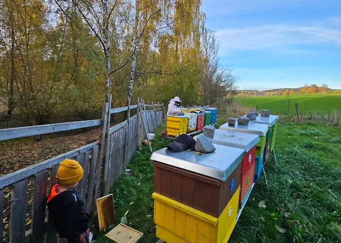Farma U Lesa Kwatera prywatna