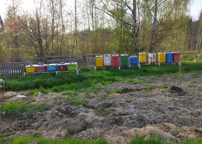 Farma U Lesa Kwatera prywatna Hlinsko